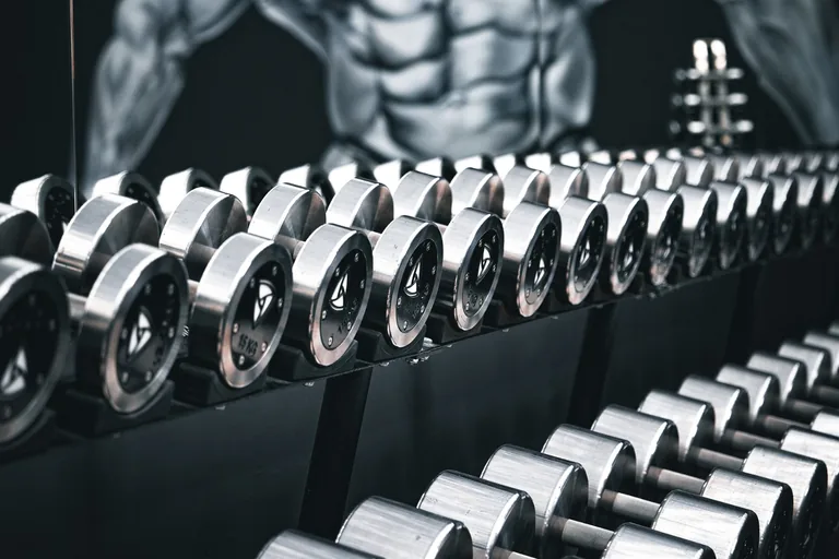 Bodybuilding im Invictus Gym
